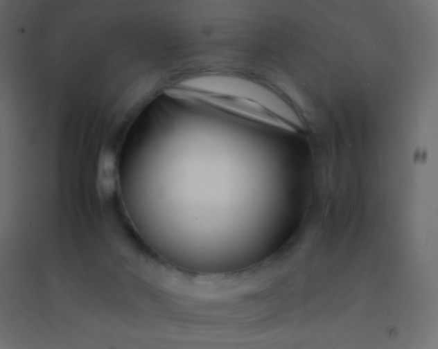 X0000094930022200712131548