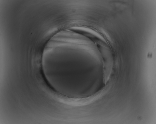 X0000094930023200712131548