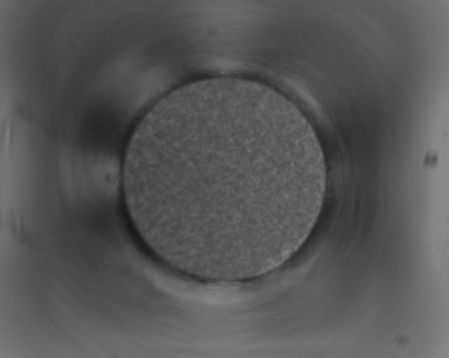 X0000094930024200712131548