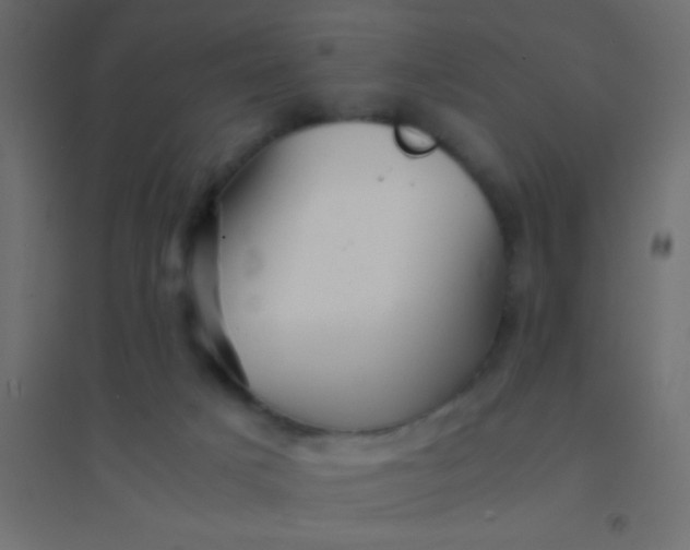 X0000094930025200712131548