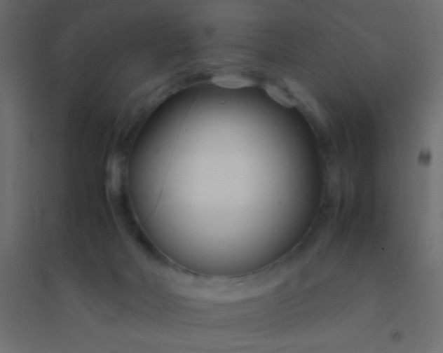 X0000094930026200712131548