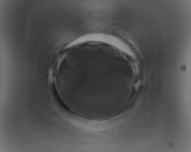 X0000094930027200712131547