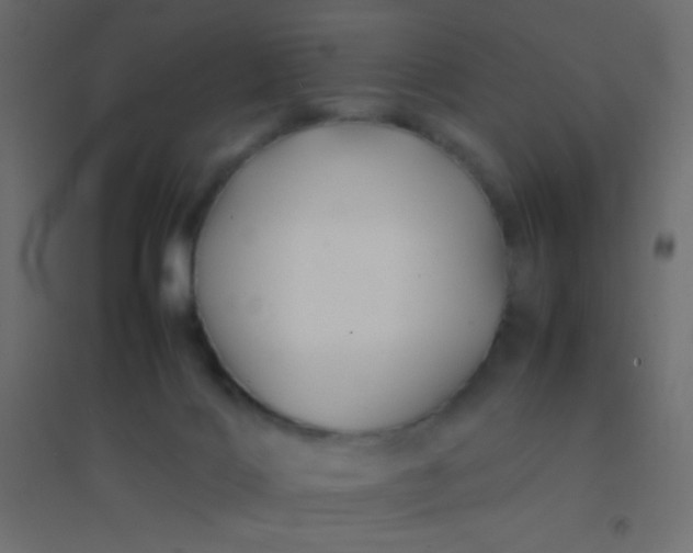 X0000094930028200712131547