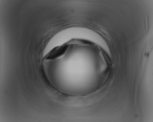 X0000094930029200712131547