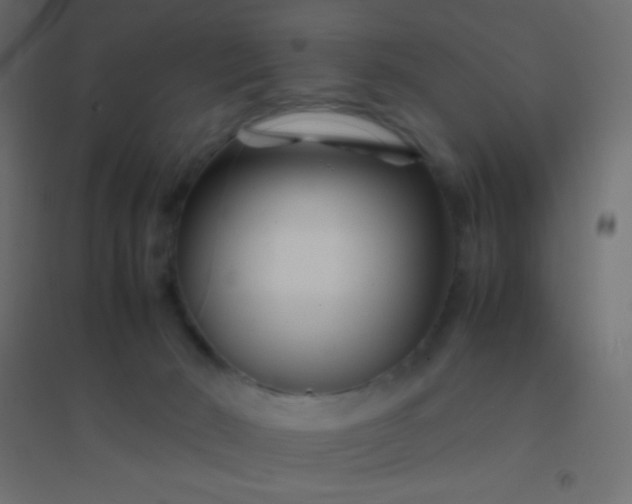 X0000094930030200712131547