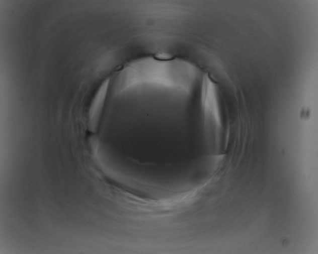 X0000094930031200712131547