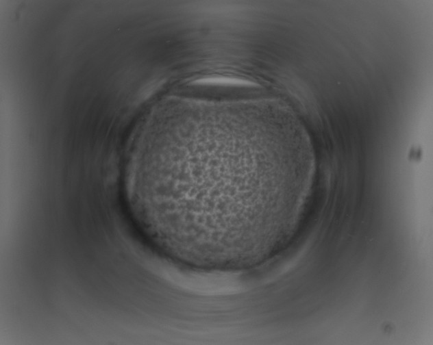 X0000094930032200712131547