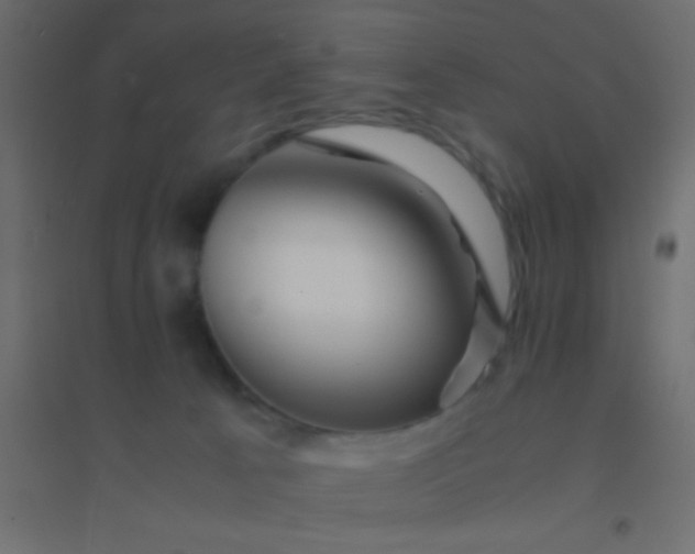 X0000094930033200712131547