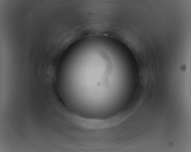 X0000094930034200712131547