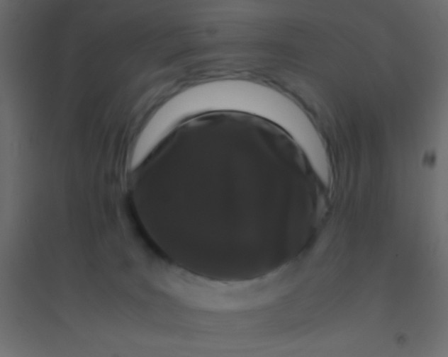 X0000094930035200712131547