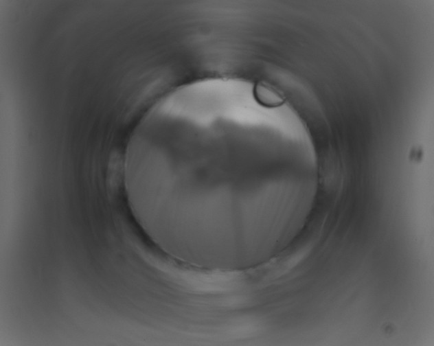 X0000094930036200712131547