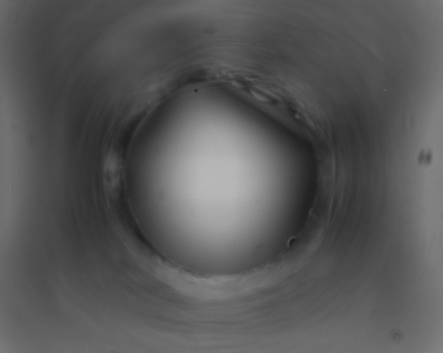 X0000094930038200712131547