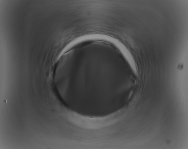 X0000094930039200712131547