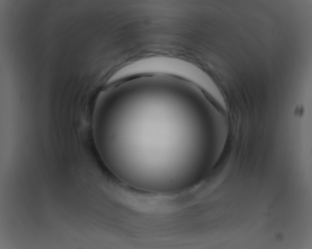 X0000094930040200712131547