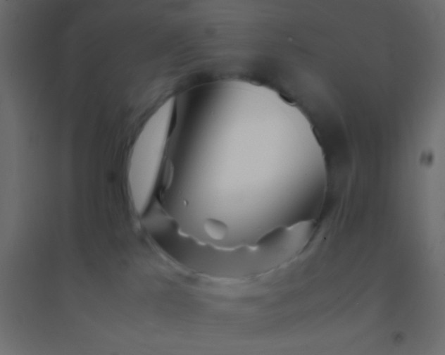 X0000094930041200712131547