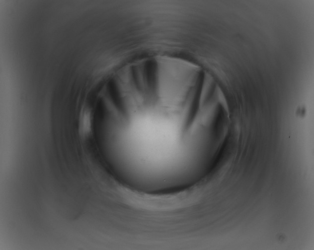 X0000094930042200712131547