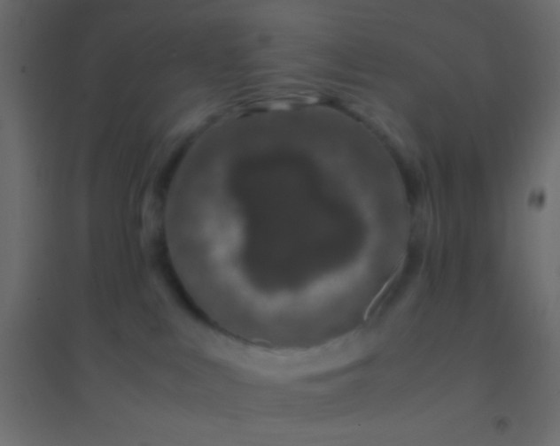 X0000094930043200712131547