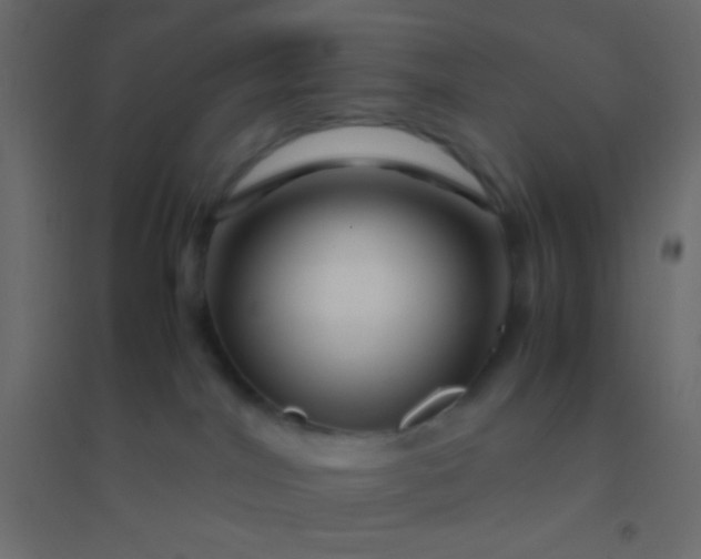 X0000094930044200712131547