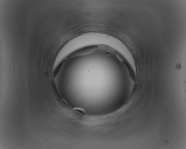 X0000094930045200712131547