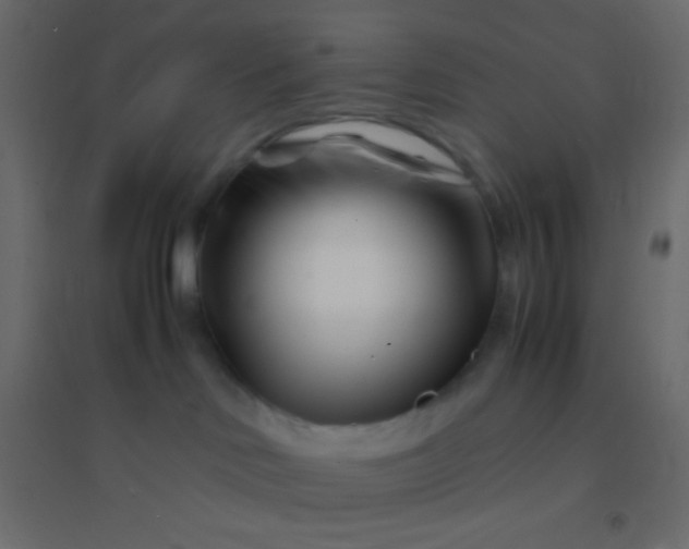 X0000094930046200712131547