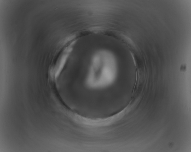 X0000094930047200712131547