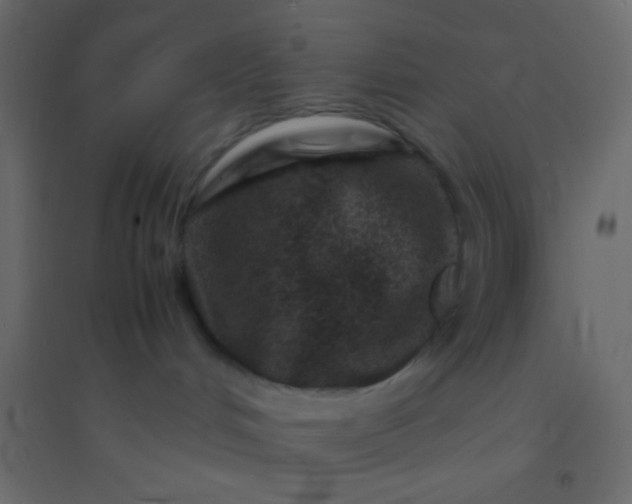X0000094930048200712131547