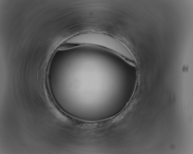 X0000094930049200712131546