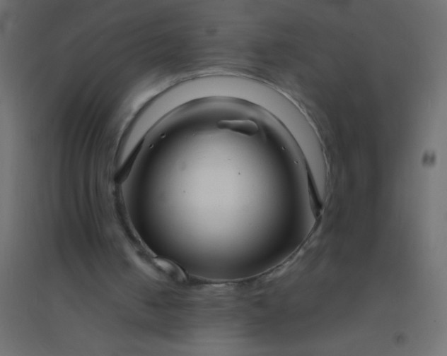 X0000094930050200712131546
