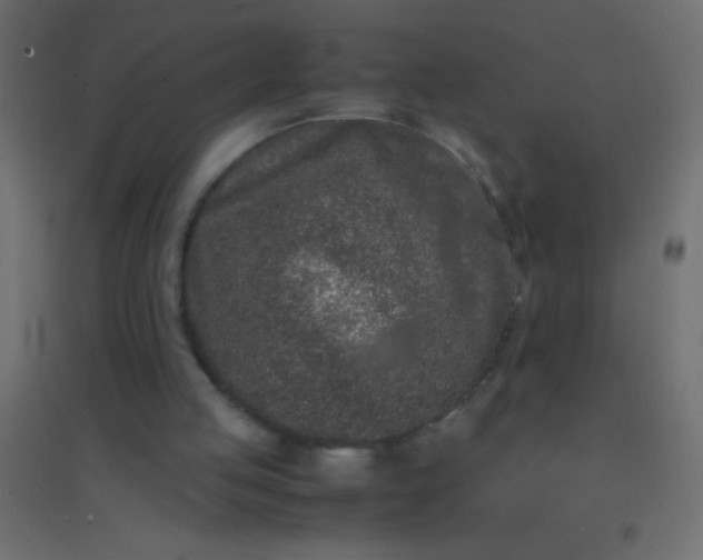 X0000094930053200712131546