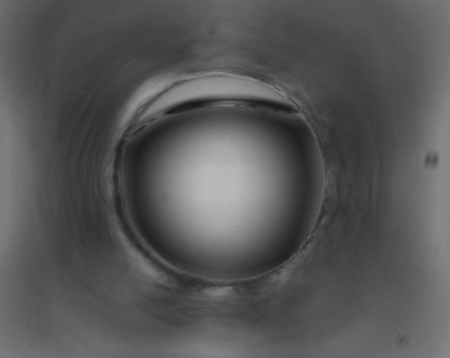 X0000094930054200712131546