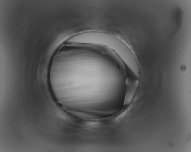 X0000094930055200712131546