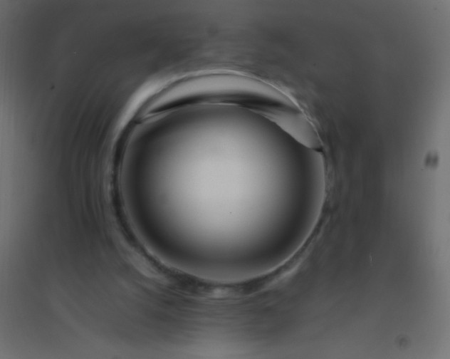 X0000094930056200712131546