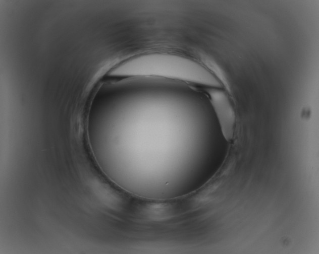 X0000094930059200712131546
