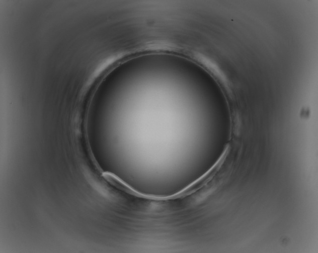 X0000094930060200712131547