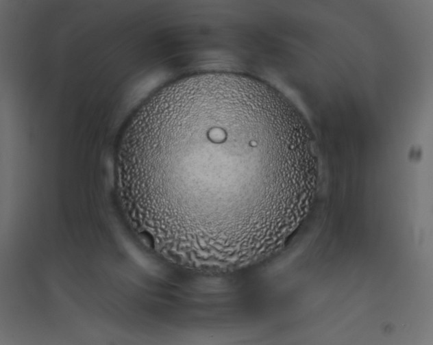 X0000094930061200712131547