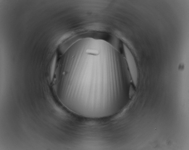 X0000094930062200712131547