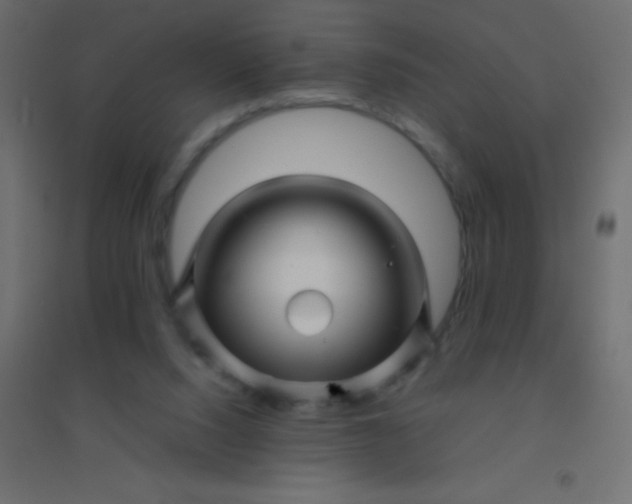 X0000094930064200712131547