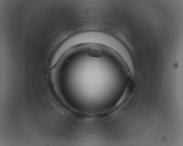 X0000094930068200712131547