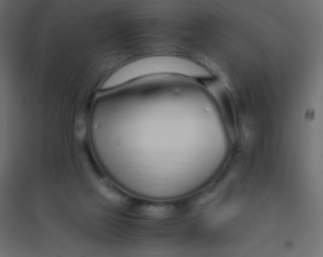 X0000094930069200712131547