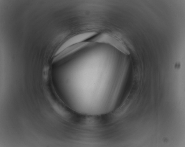 X0000094930070200712131547