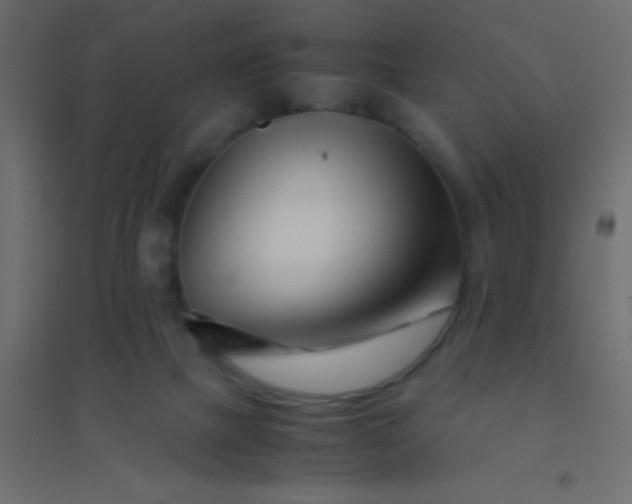 X0000094930073200712131547