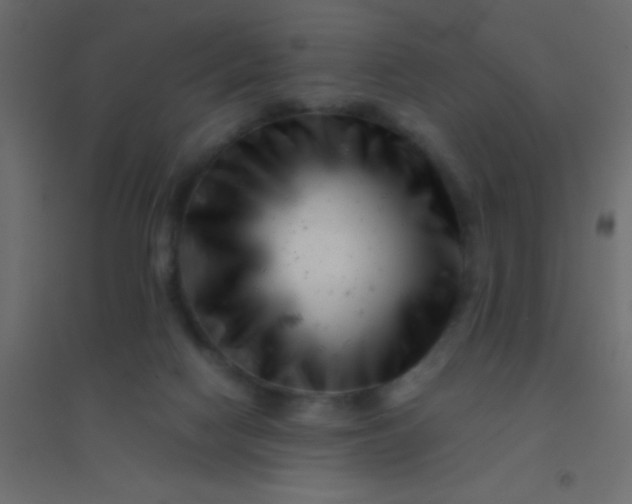 X0000094930074200712131547