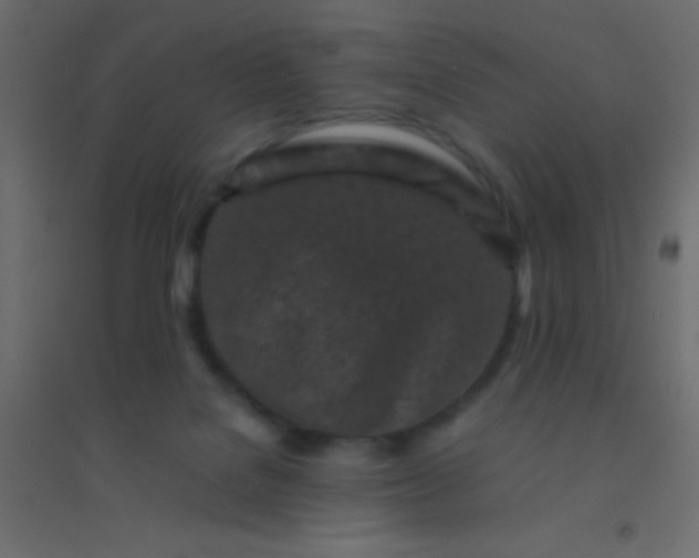 X0000094930076200712131547