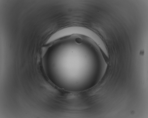 X0000094930077200712131547