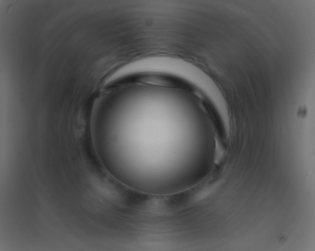 X0000094930080200712131547