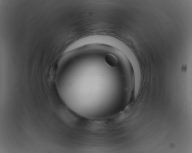 X0000094930081200712131547