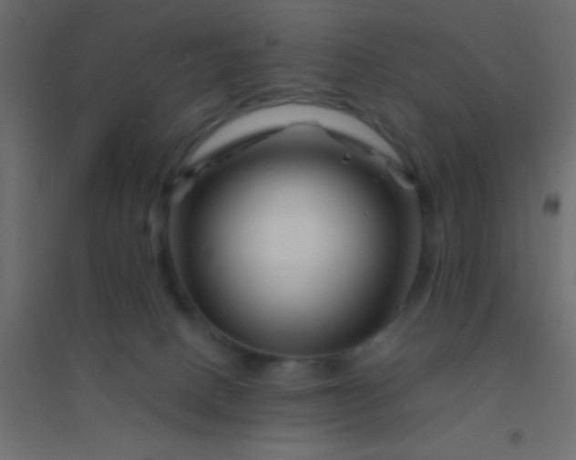 X0000094930082200712131547