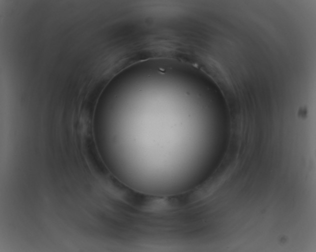X0000094930083200712131547