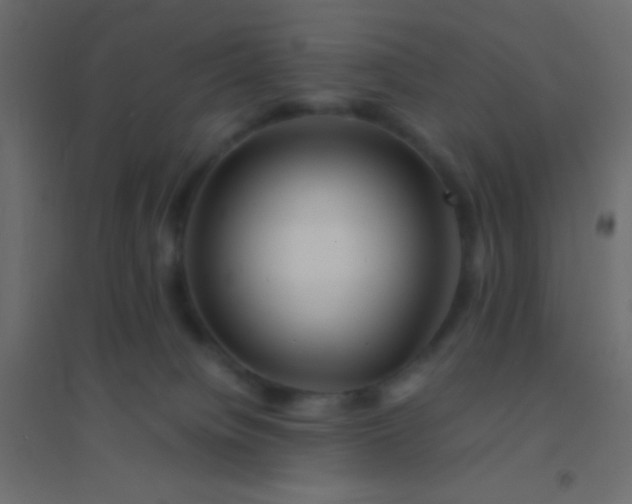 X0000094930084200712131547