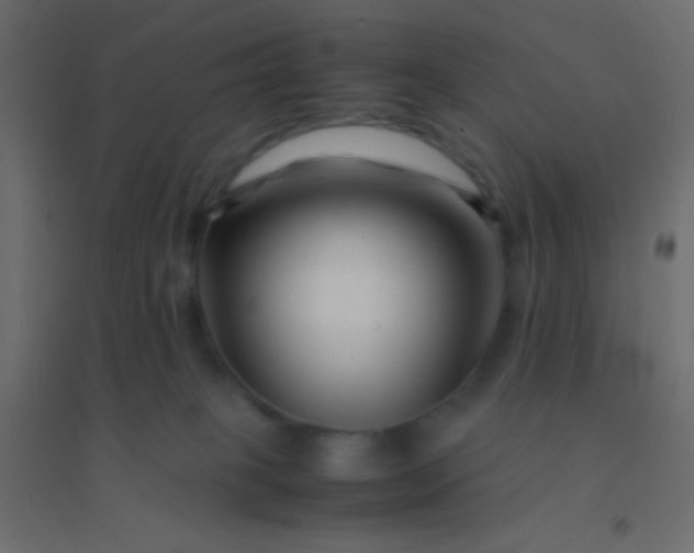 X0000094930085200712131547